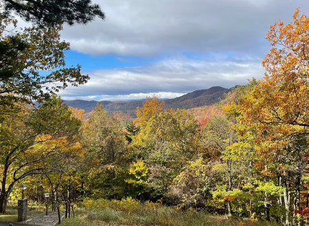 Wildacres view
