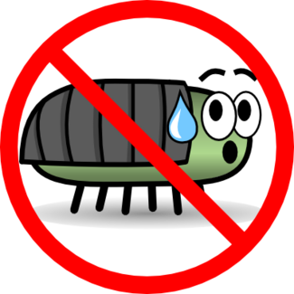 no bugs